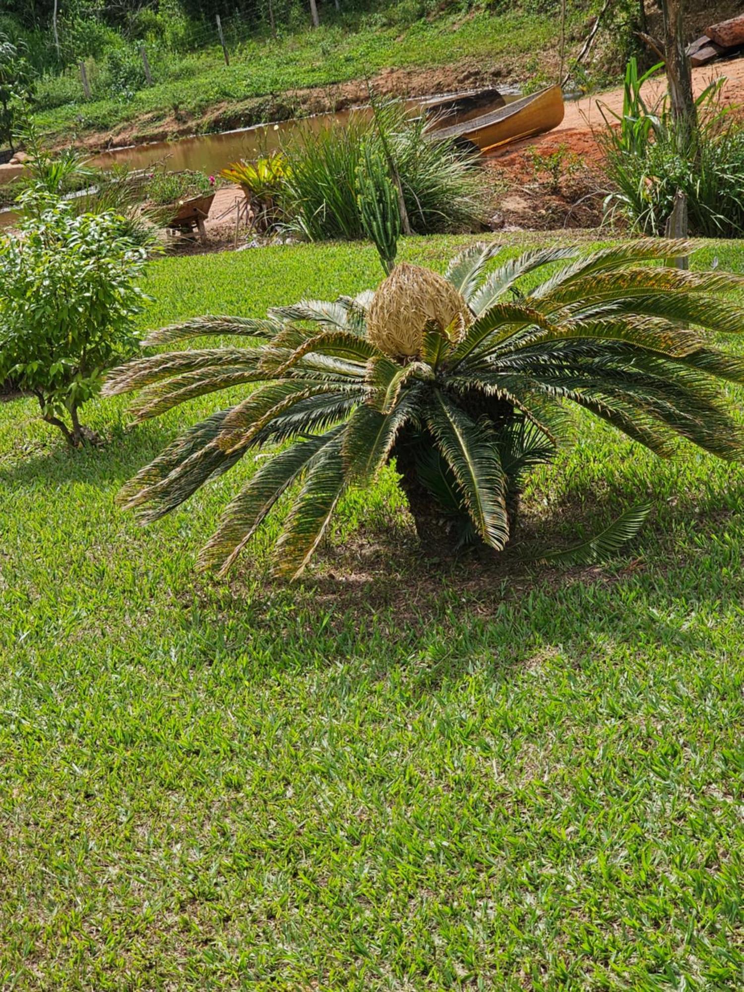 Sitio Reis Membeca Paraíba do Sul Exterior foto