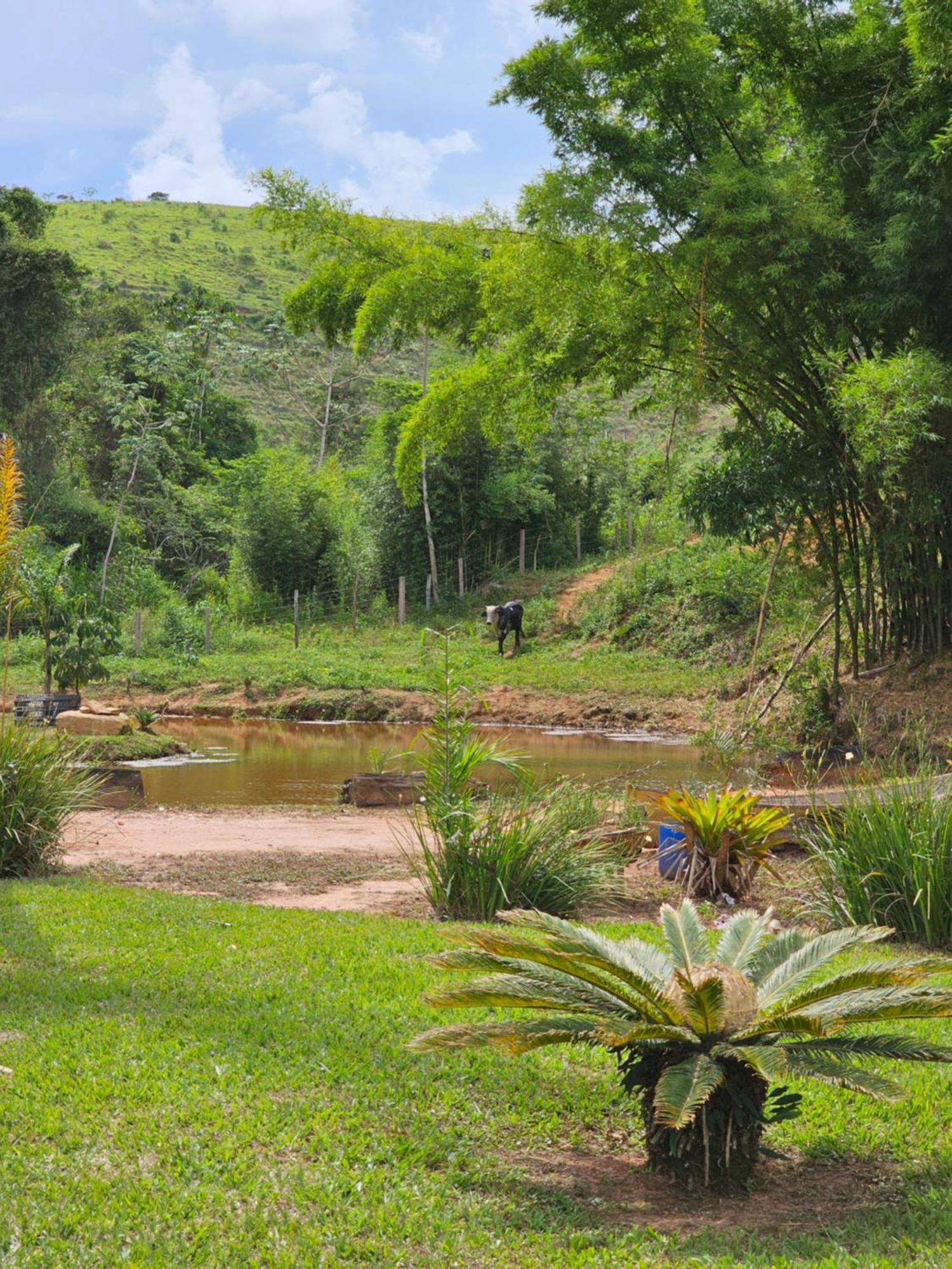 Sitio Reis Membeca Paraíba do Sul Exterior foto