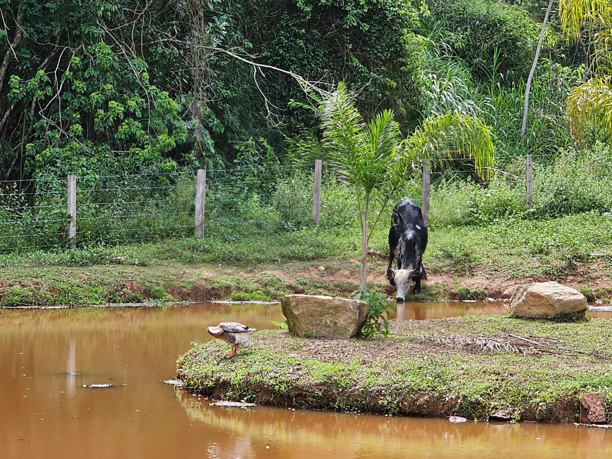 Sitio Reis Membeca Paraíba do Sul Exterior foto