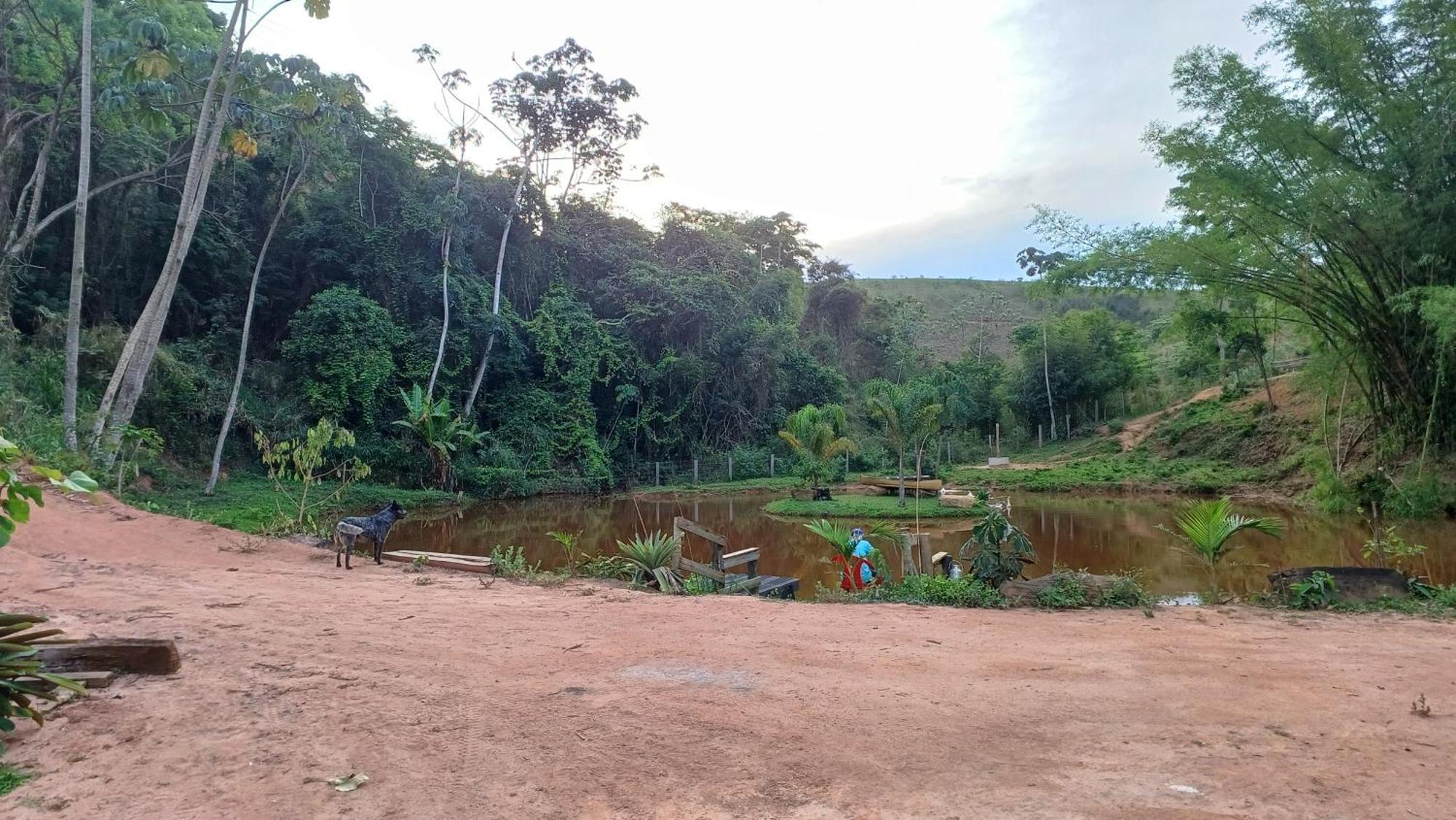 Sitio Reis Membeca Paraíba do Sul Exterior foto